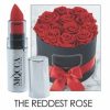 gloria-reddest-rose